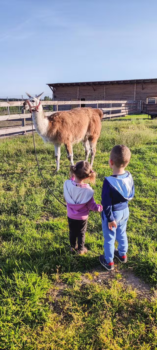 Atrakcje Ranczo Patataj